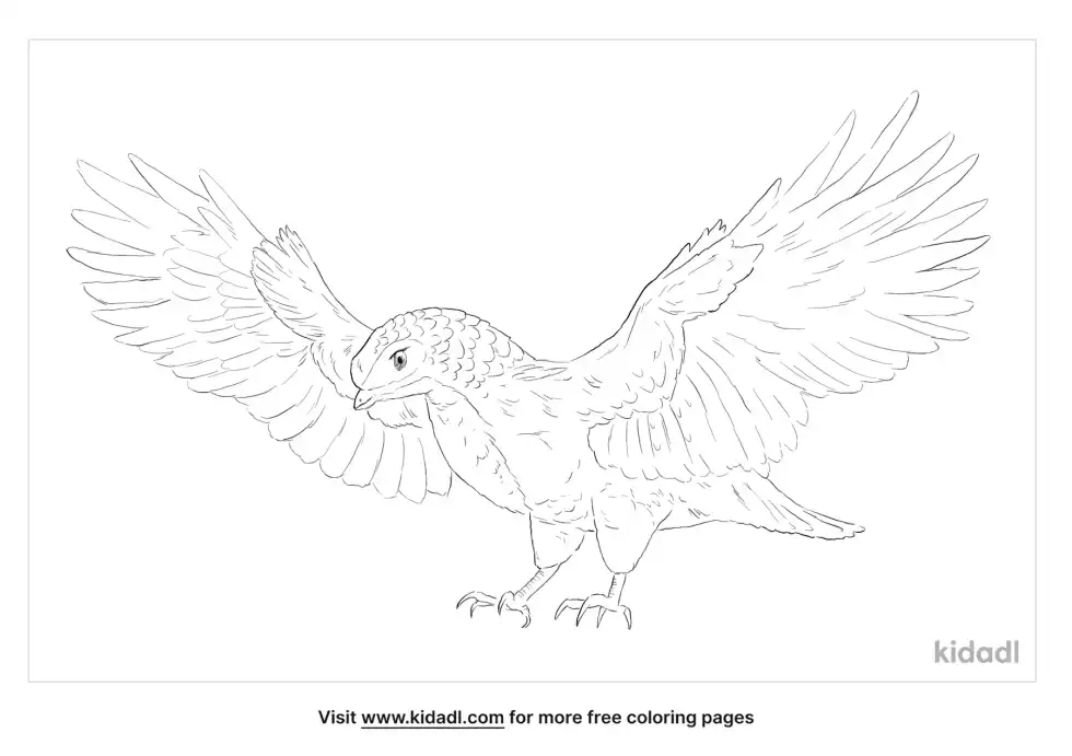 Avisaurus Coloring Page