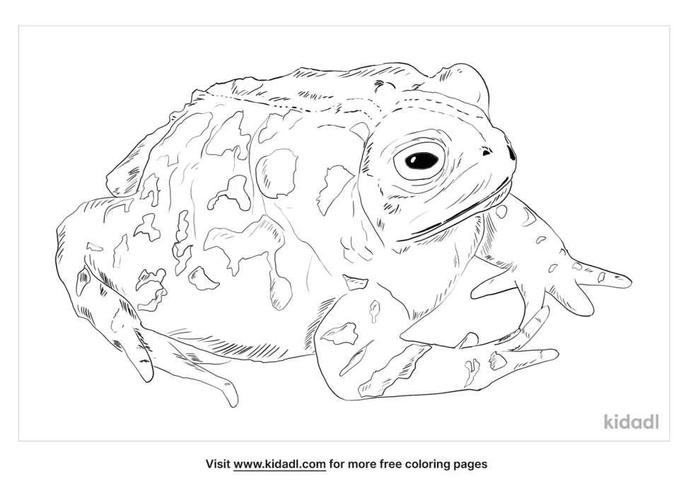 Wyoming Toad Coloring Page