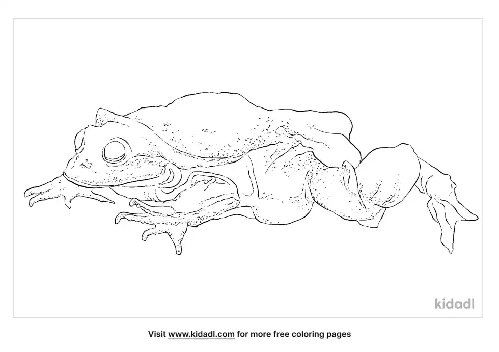 Titicaca Water Frog Coloring Page