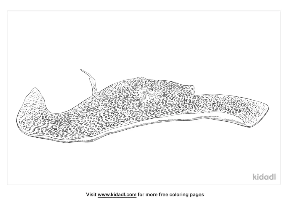 Honeycomb Stingray Coloring Page