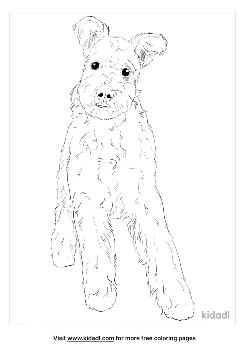 Pumi Coloring Page