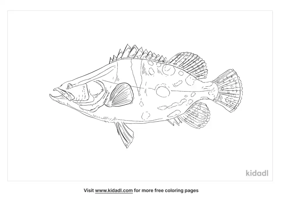 Chinese Perch Coloring Page