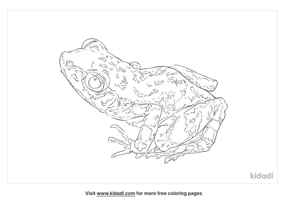 Cliff Chirping Frog Coloring Page