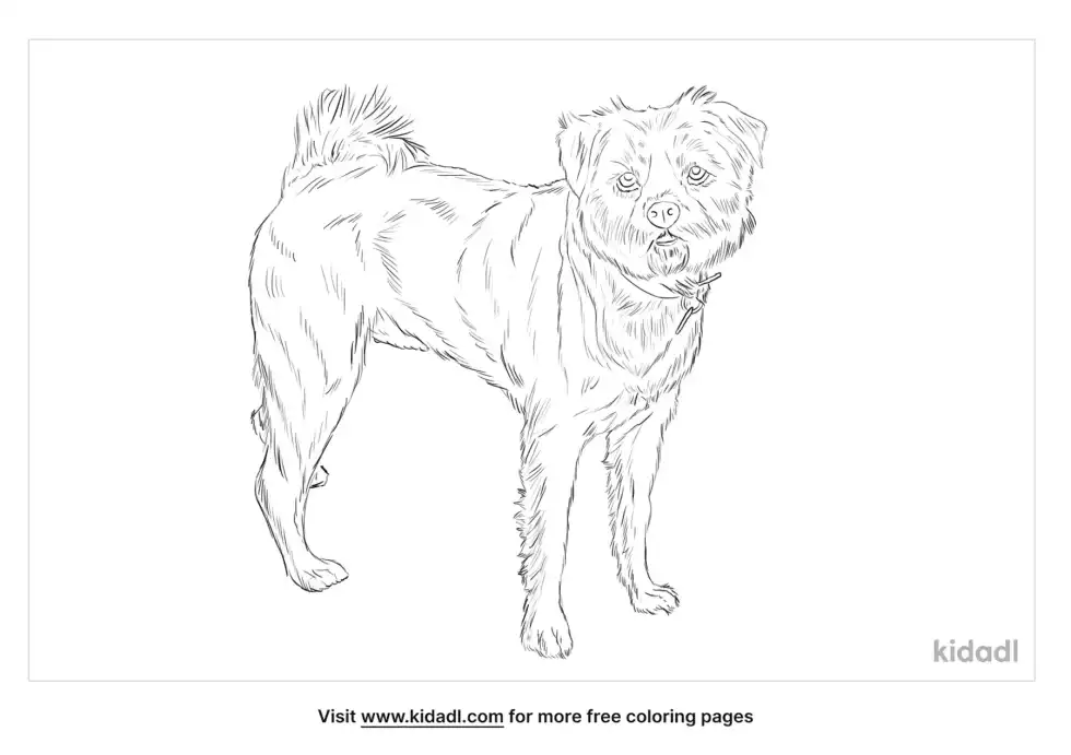 Schnug Coloring Page