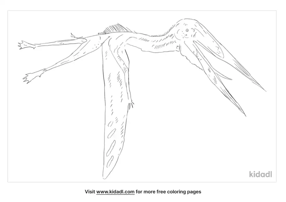 Zhejiangopterus Coloring Page