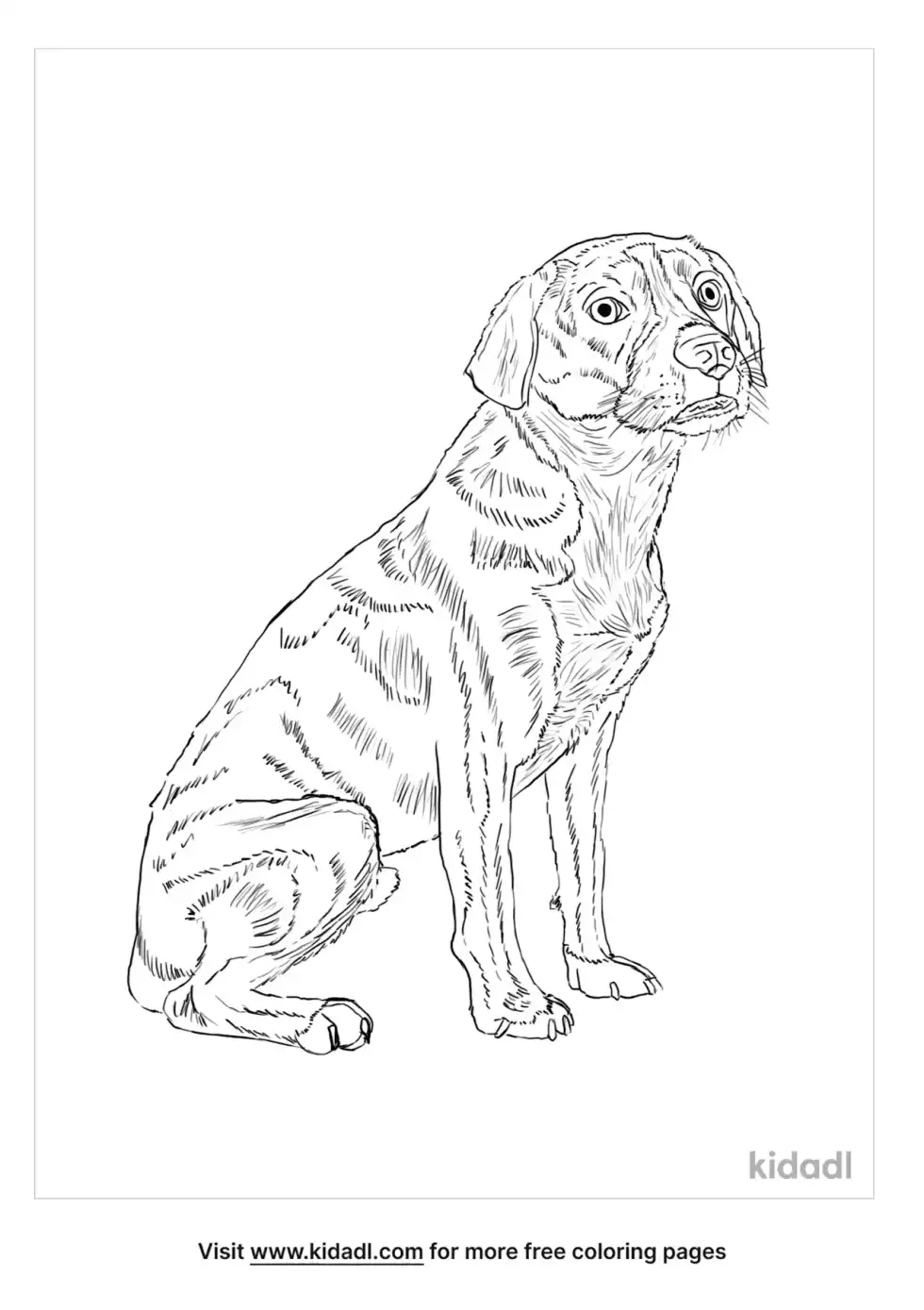 Boxer Beagle Mix Coloring Page