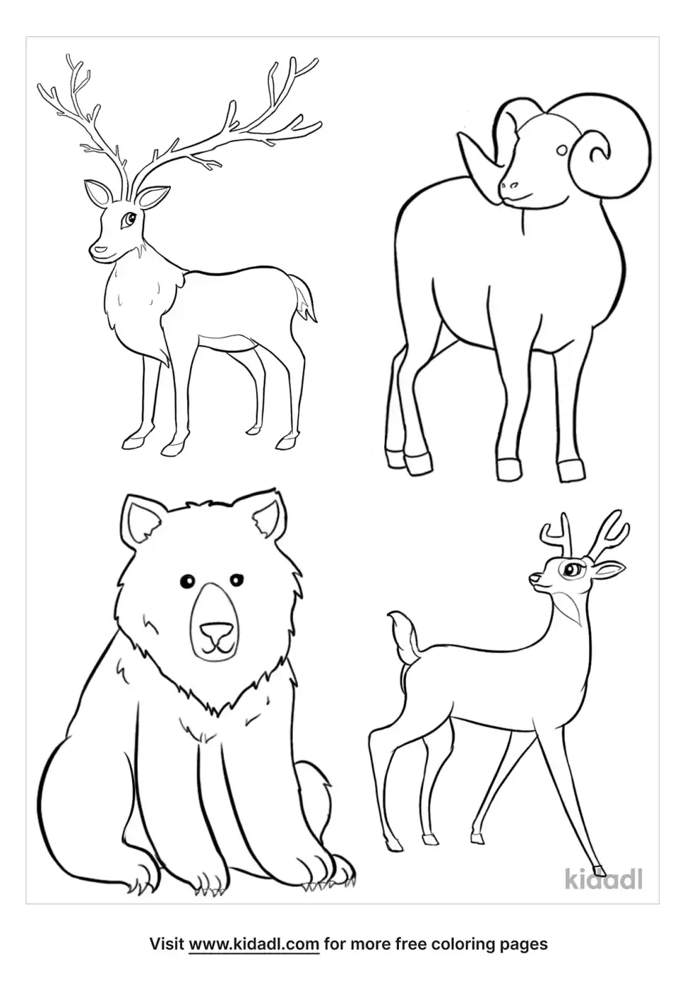 North America Animals Coloring Page