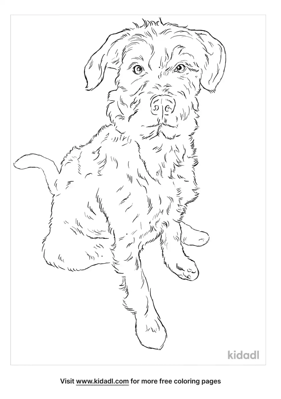Pitbull Poodle Mix Coloring Page