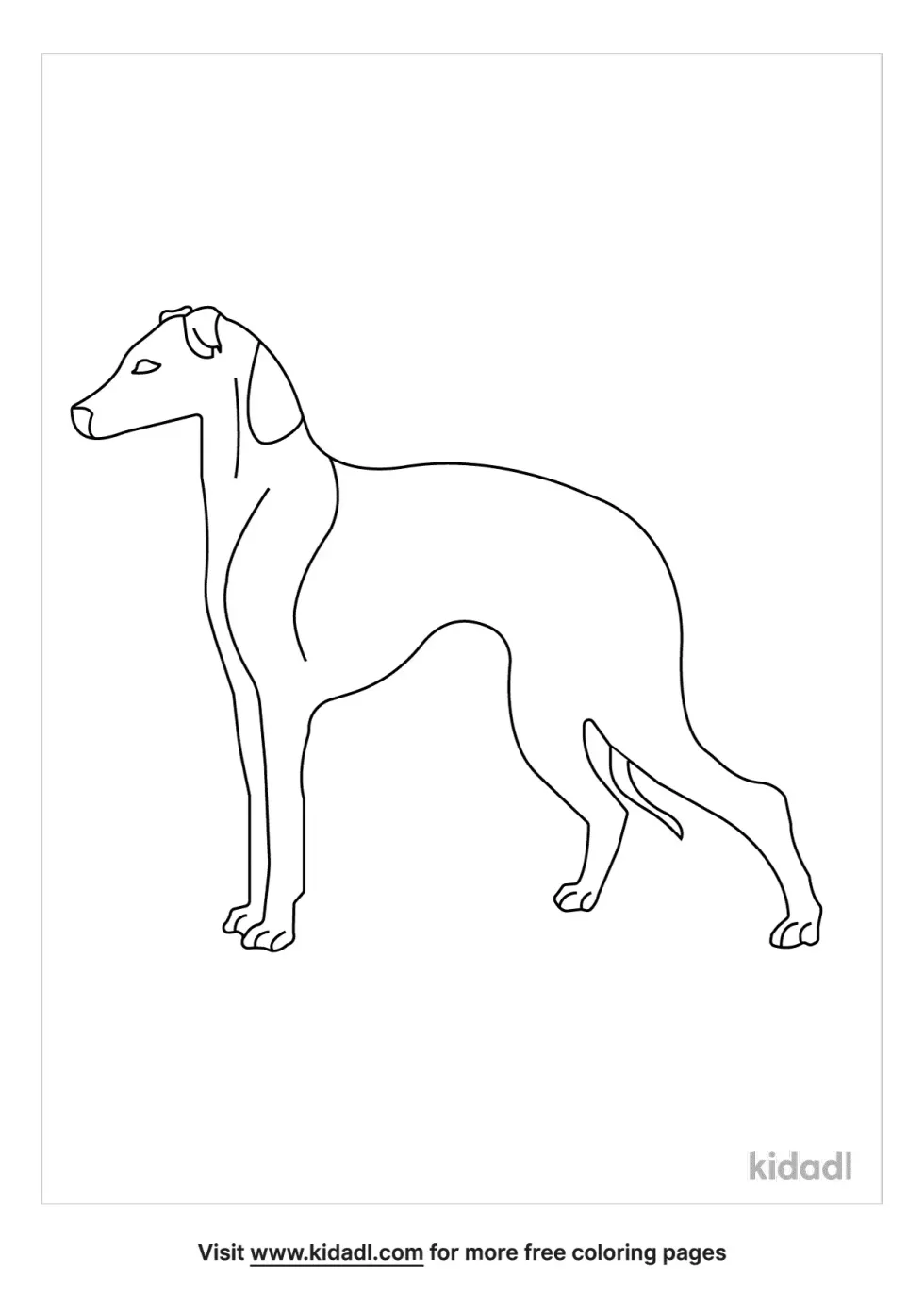 Celtic Greyhound Coloring Page