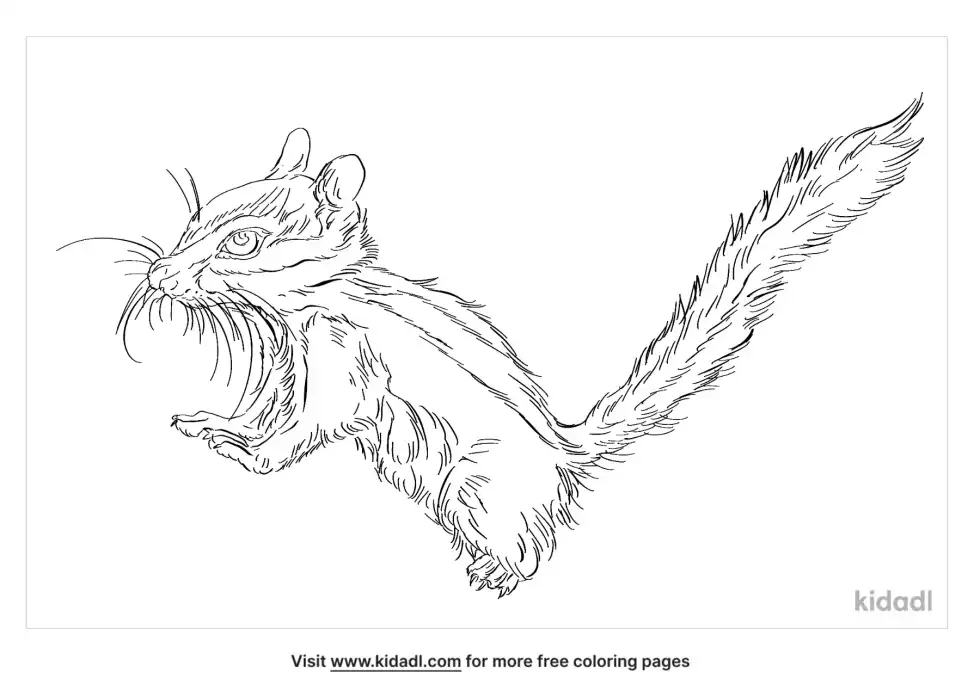 Alpine Chipmunk Coloring Page