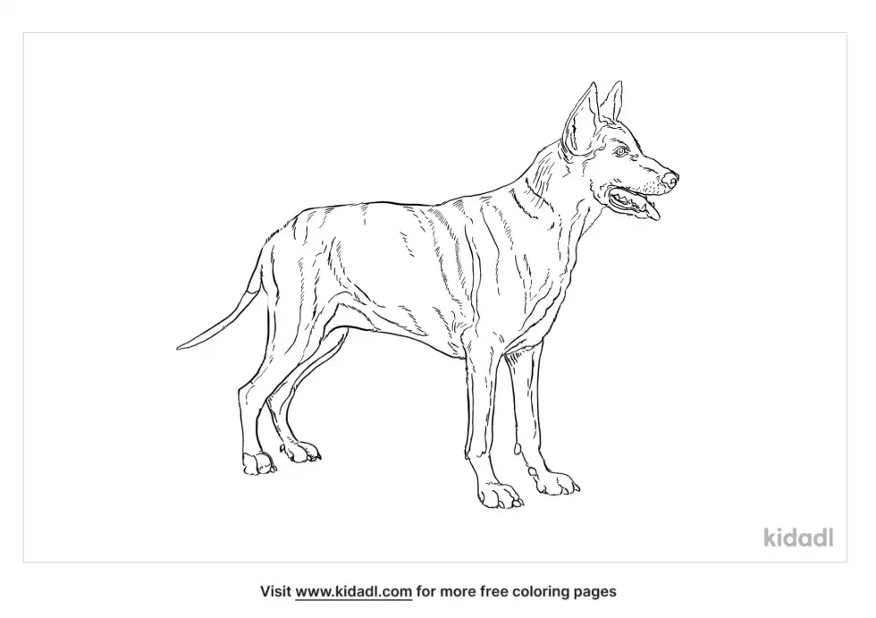 Blue Bay Shepherd Coloring Page