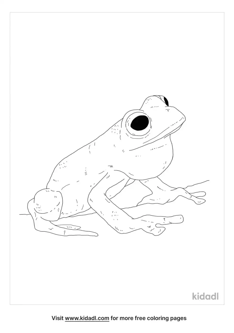 Glass Frog Coloring Page
