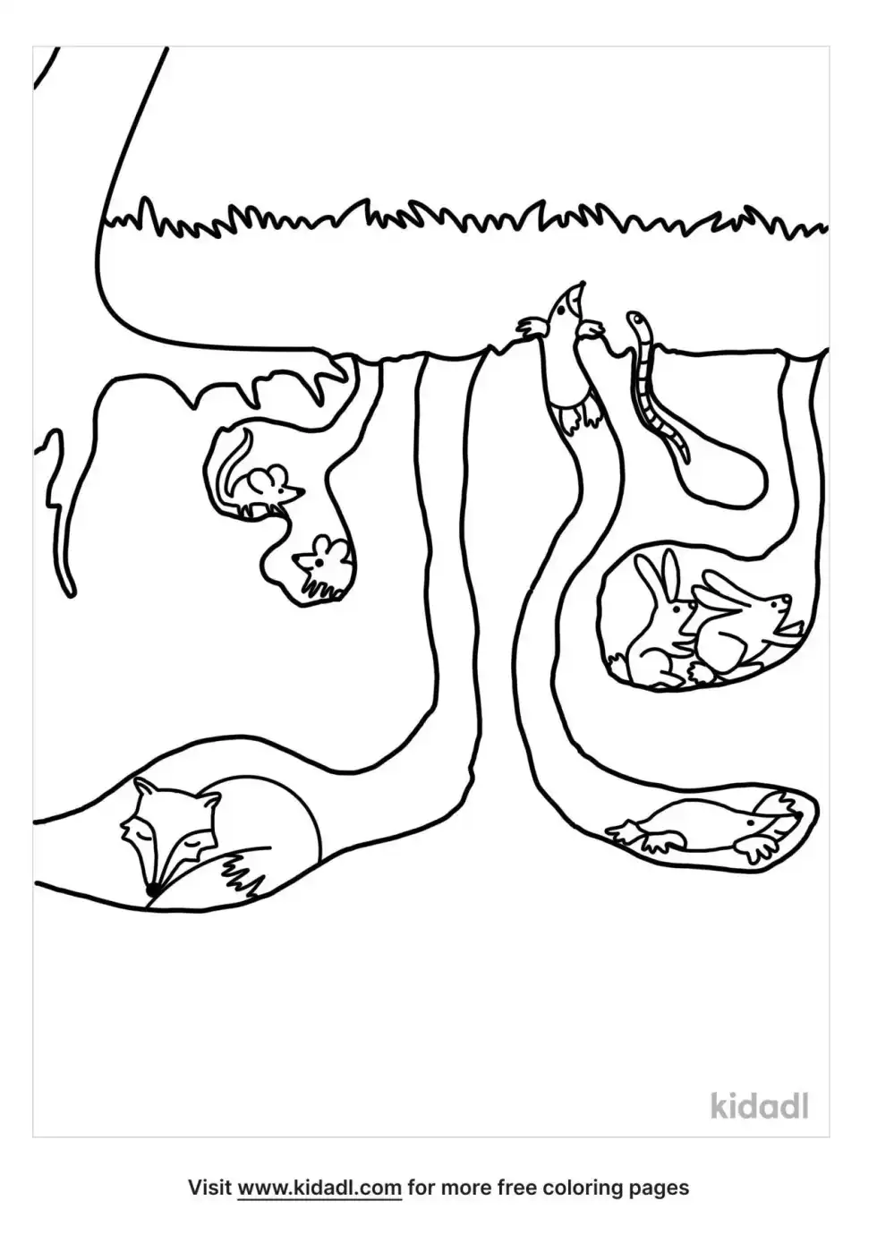 Underground Animals Coloring Page