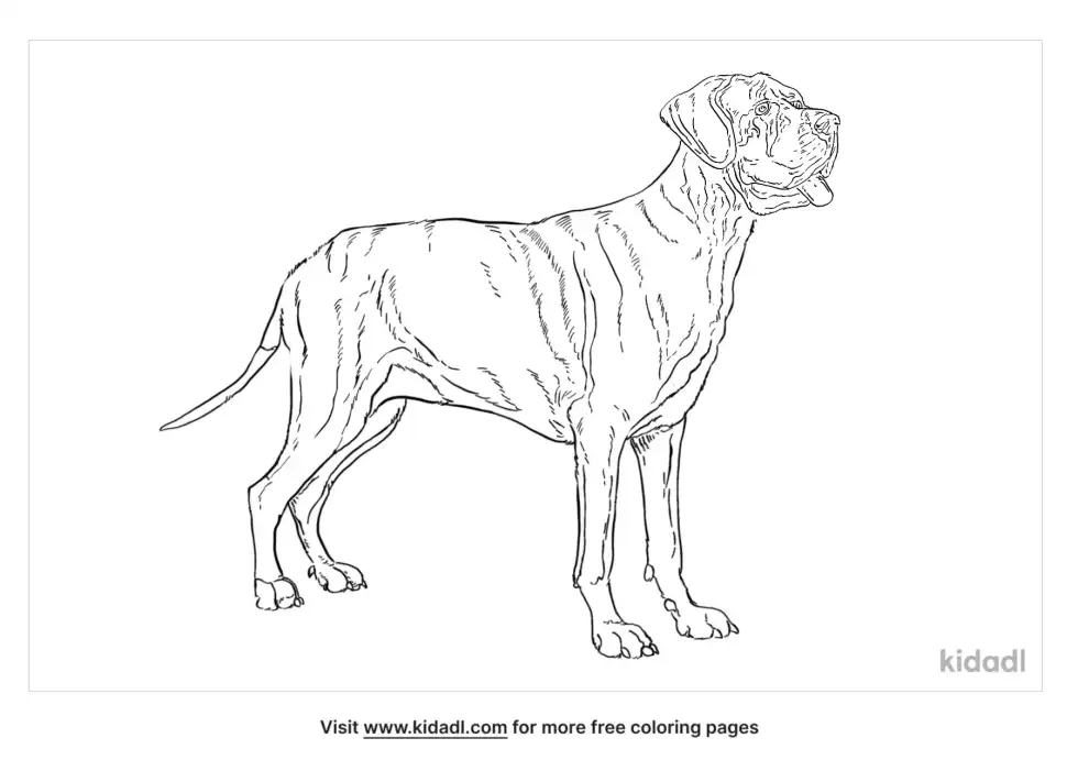 Labradane Coloring Page