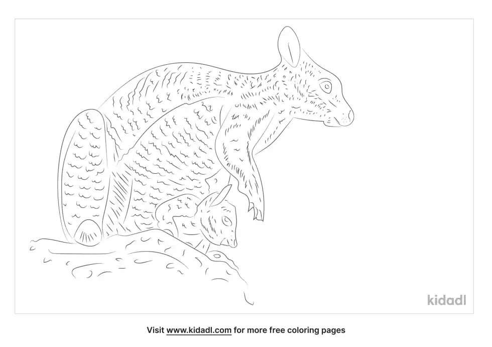 Black-Footed Rock-Wallaby Coloring Page