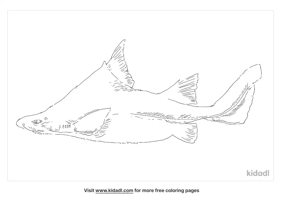 Prickly Dogfish Coloring Page