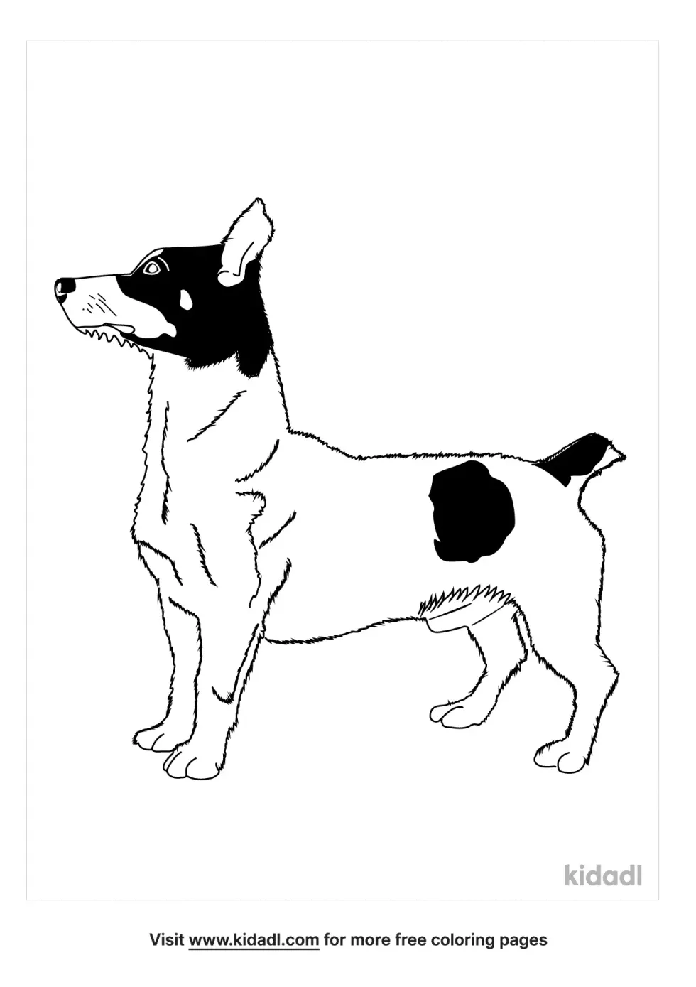 Teddy Roosevelt Terrier Coloring Page