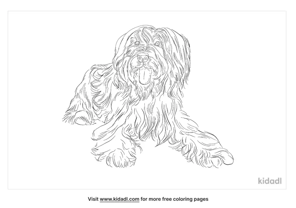 Briard Coloring Page