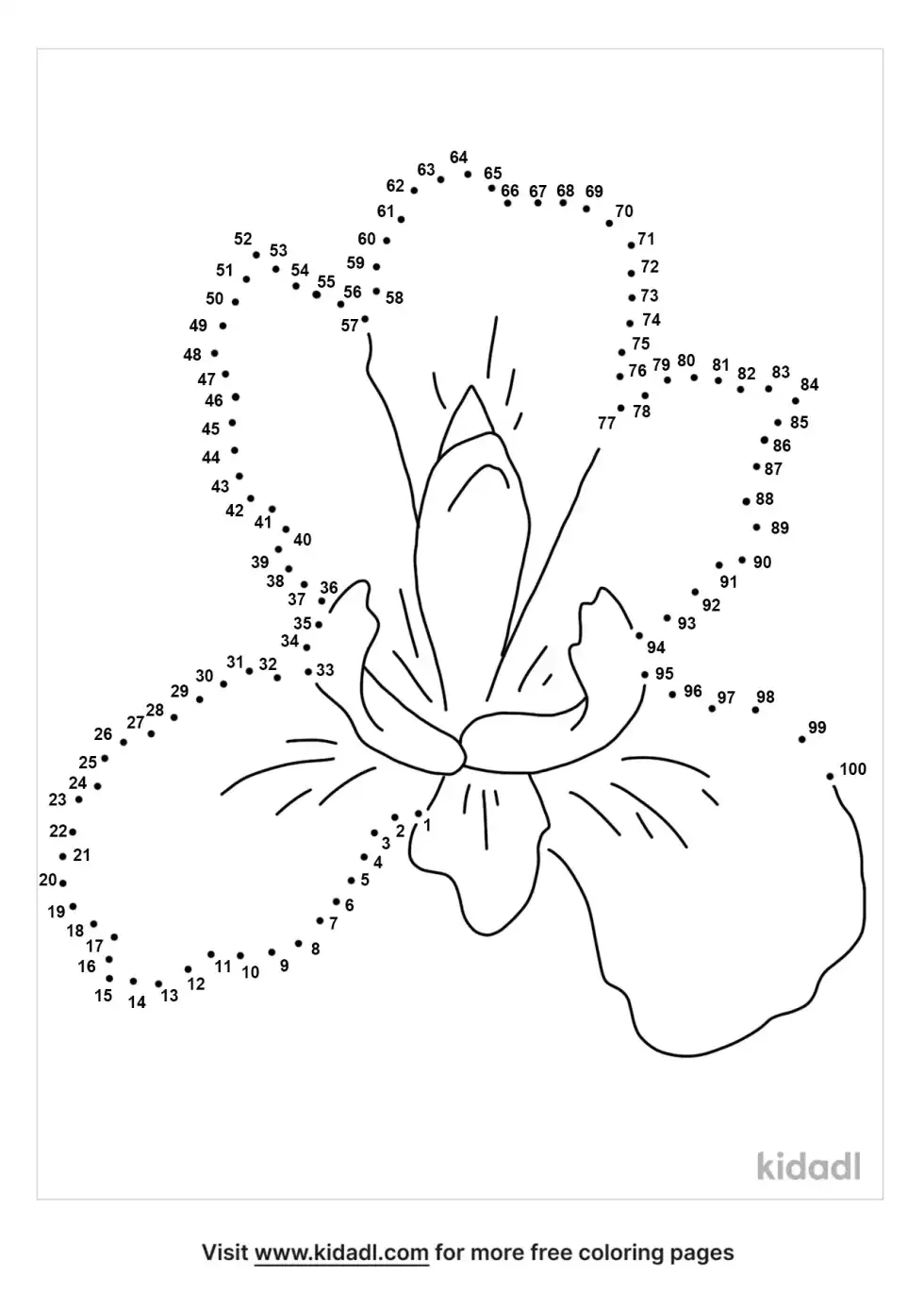 Iris Flower Dot To Dot (Hard)