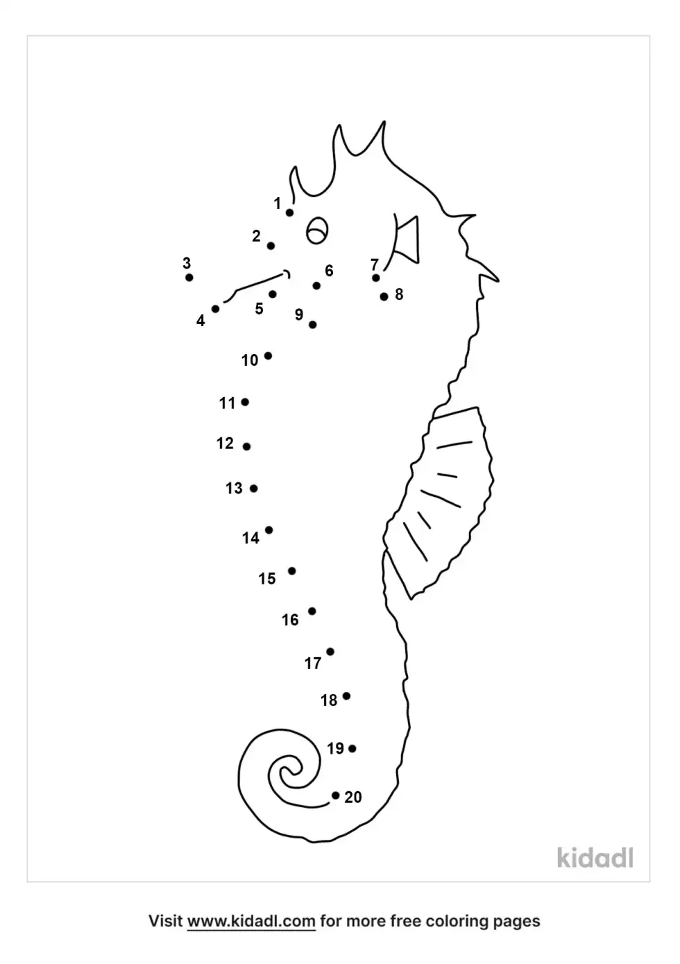 Seahorse Dot To Dot (Easy)