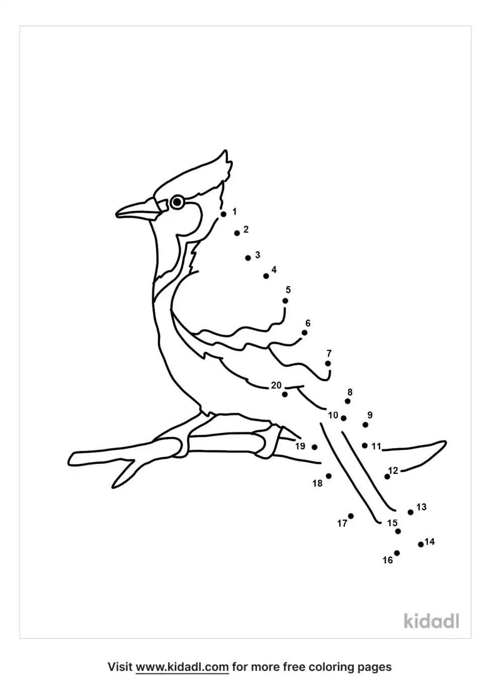 Blue Jay Dot To Dot (Easy)