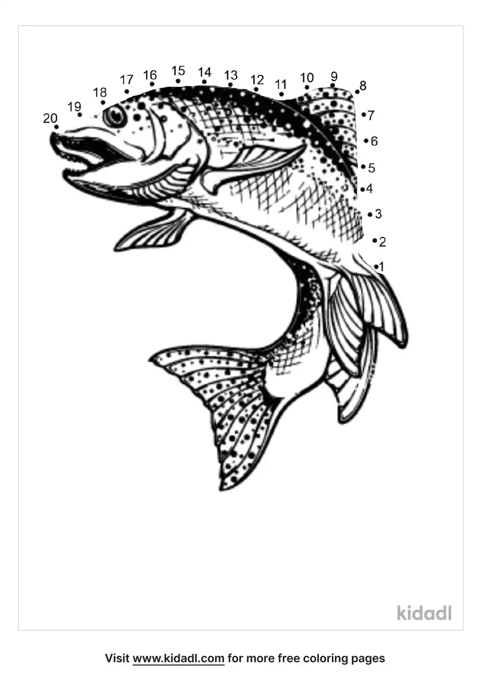 Rainbow Fish Dot To Dot (Easy)