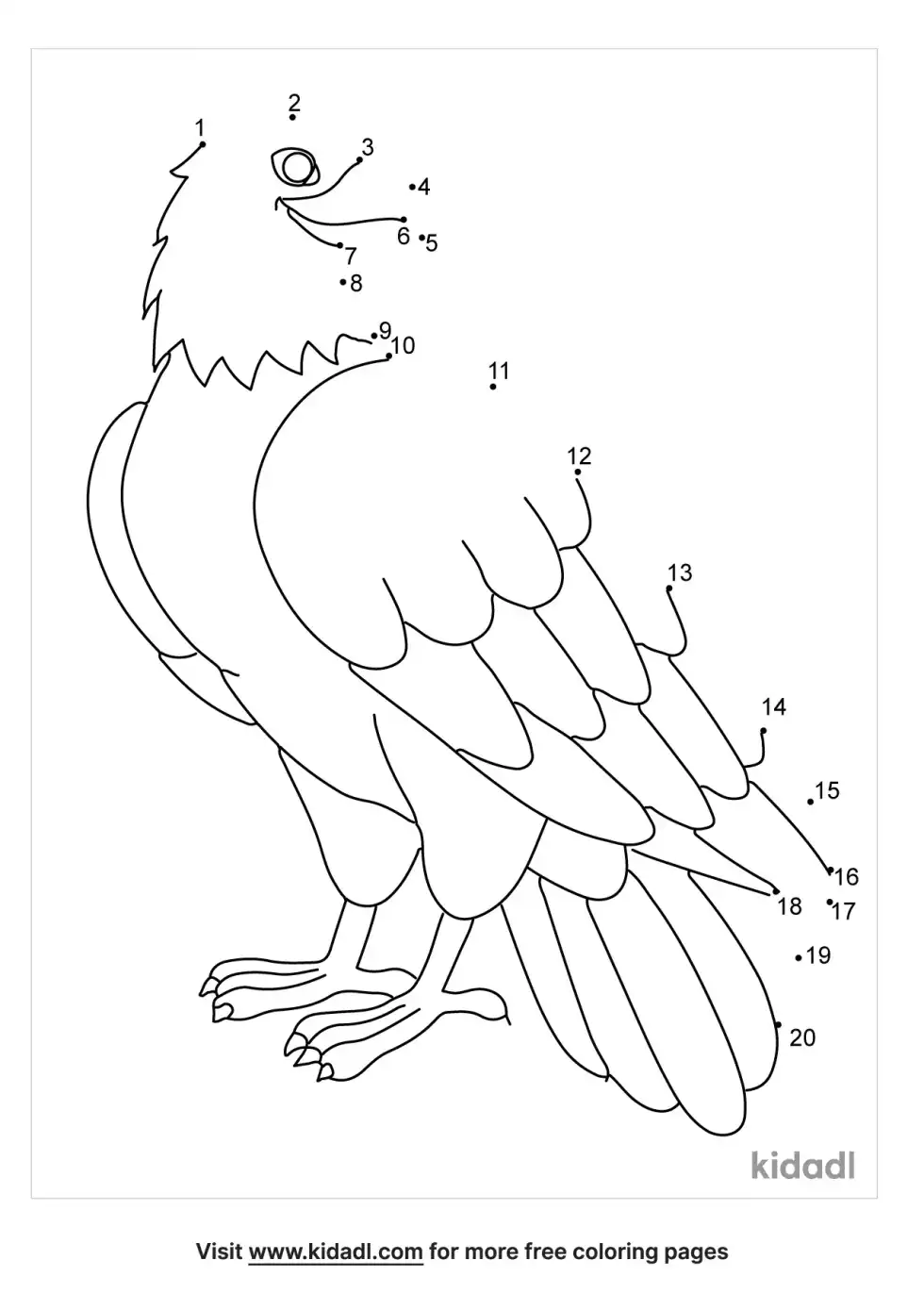 Bald Eagle Dot To Dot (Easy)