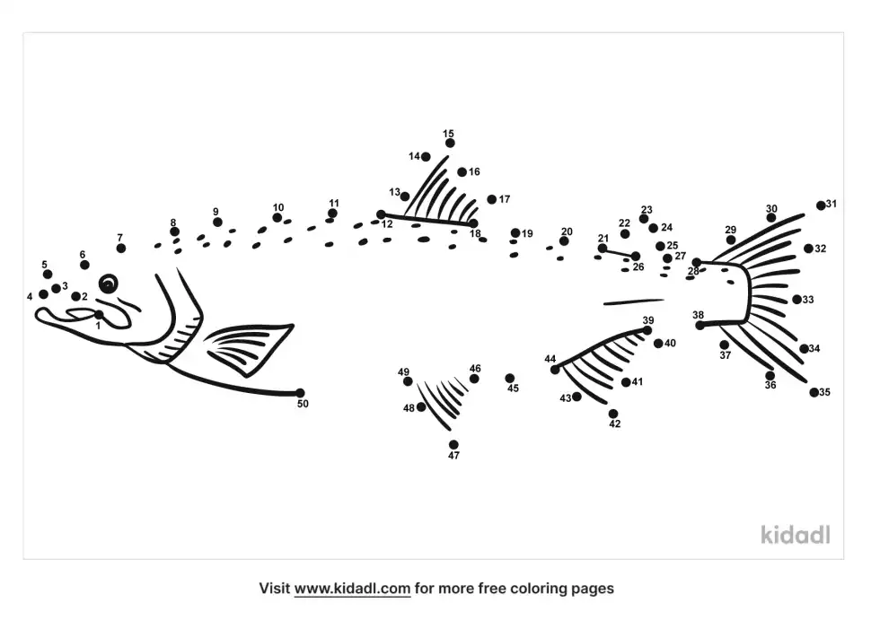 Salmon Dot To Dot (Medium)