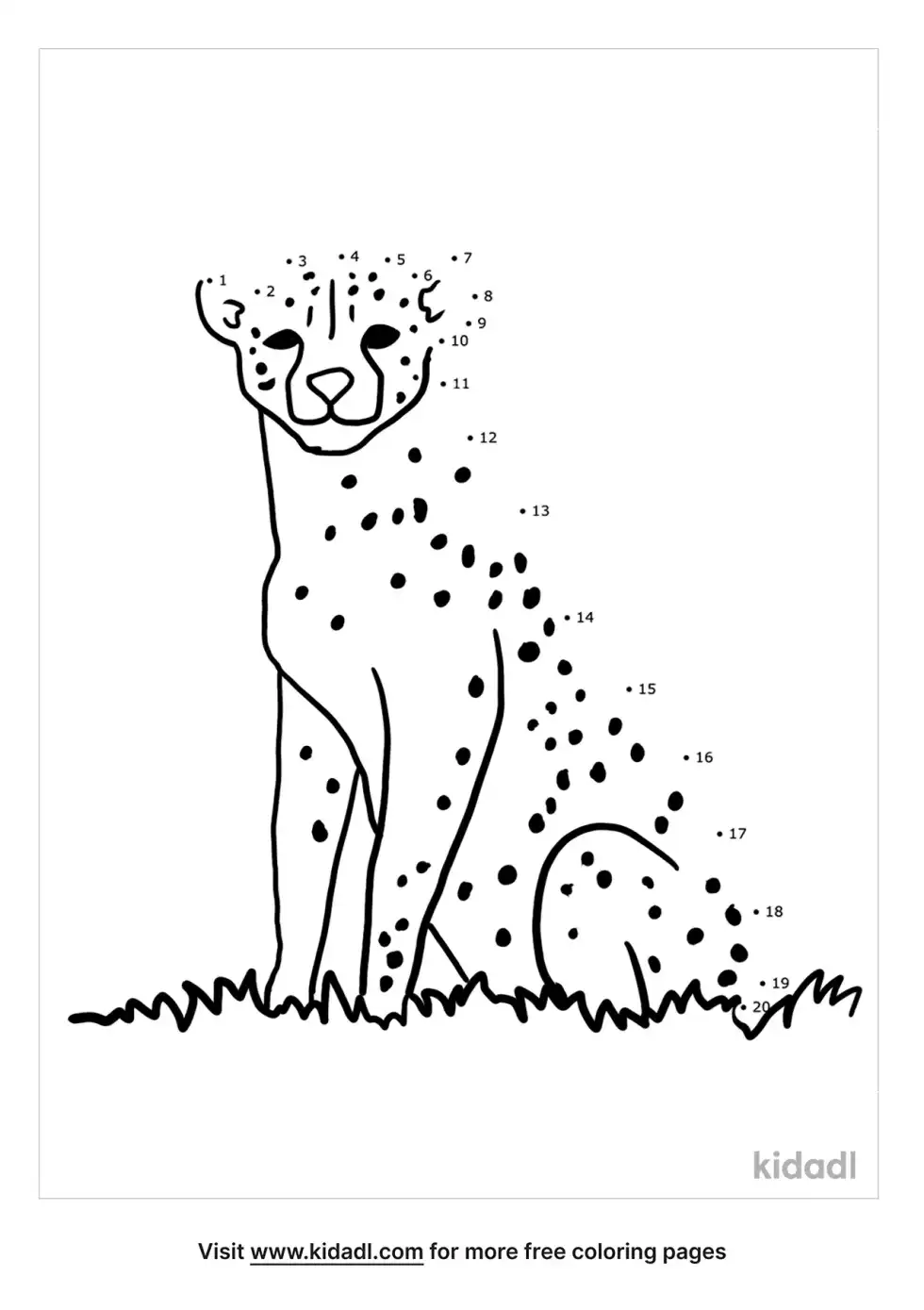 Cheetah Dot To Dot (Easy)