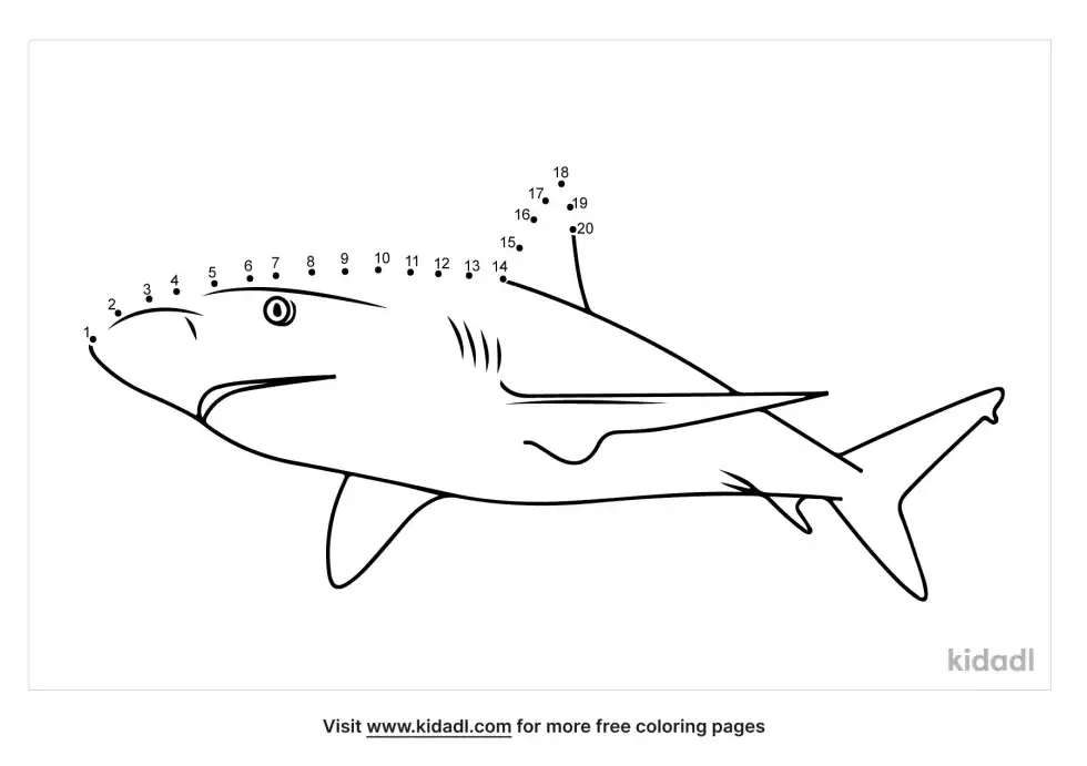 Black Tip Shark Dot To Dot (Easy)