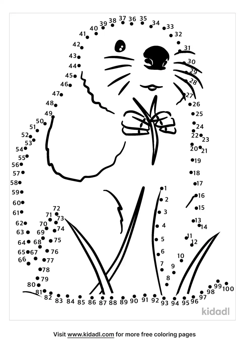 Beaver Dot To Dot (Hard)