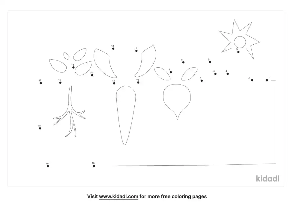 Garden Dot To Dot (Easy)