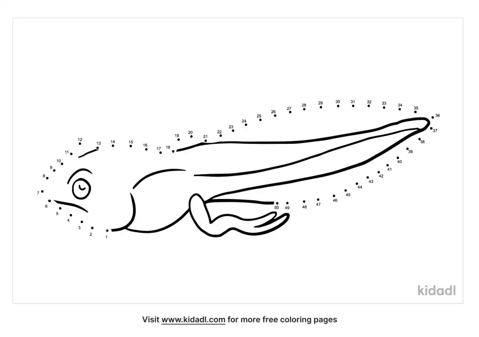 Tadpole Dot To Dot (Medium)