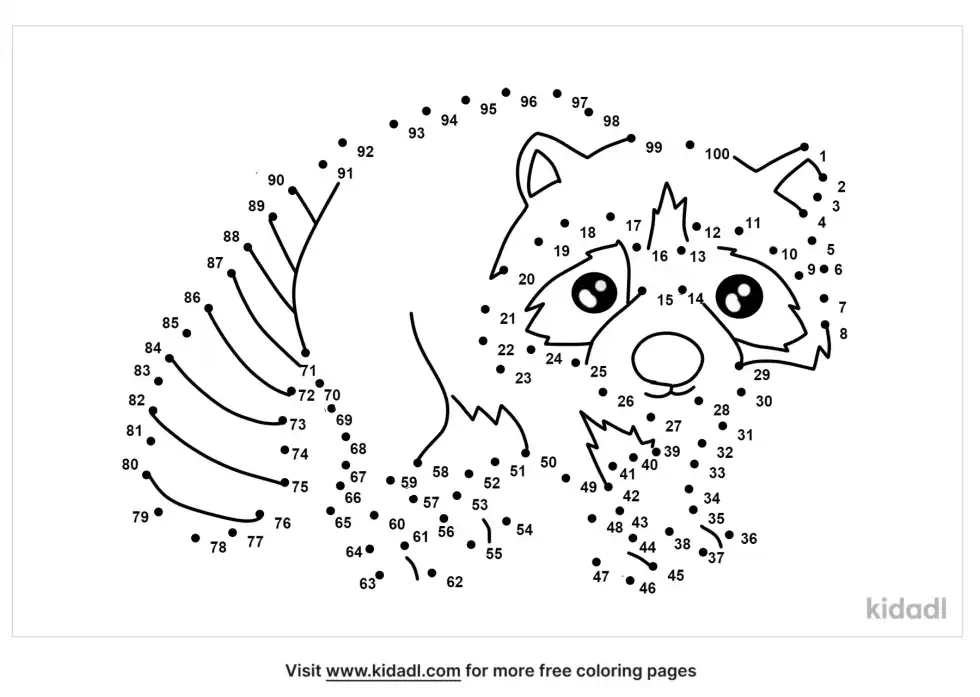 Raccoon Dot To Dot (Hard)