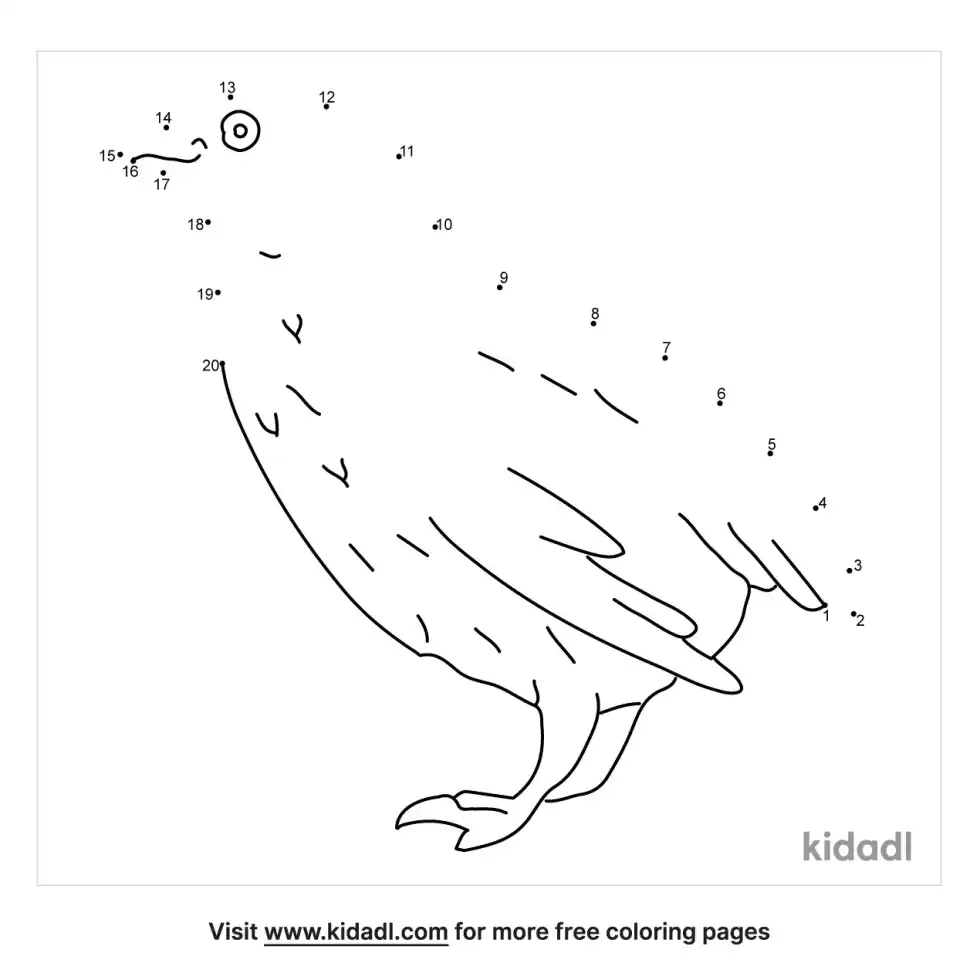 Quail Dot To Dot (Easy)