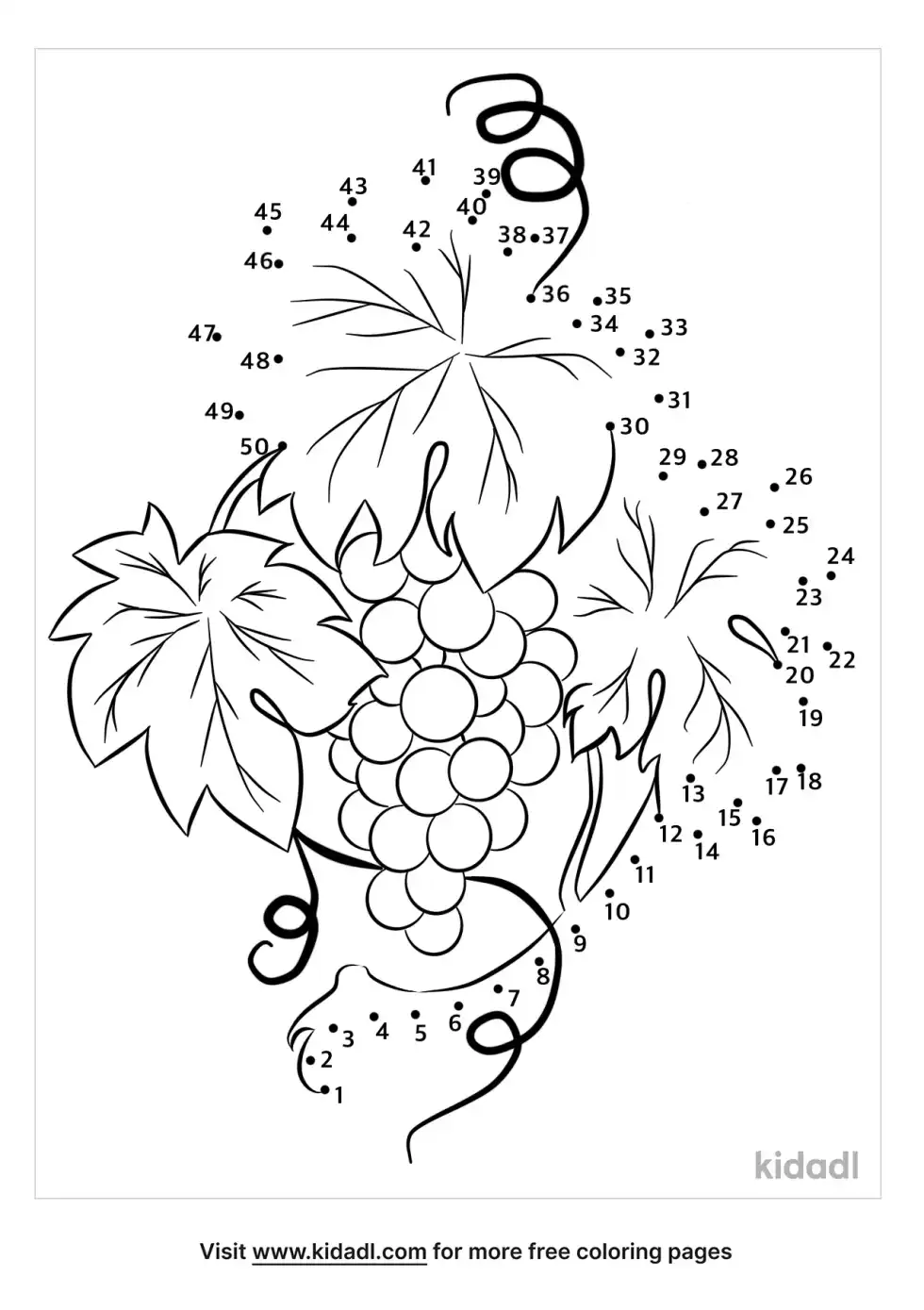 Grape Vine Dot To Dot (Medium)