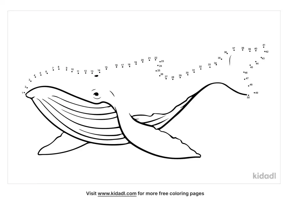 Whale Dot To Dot (Medium)