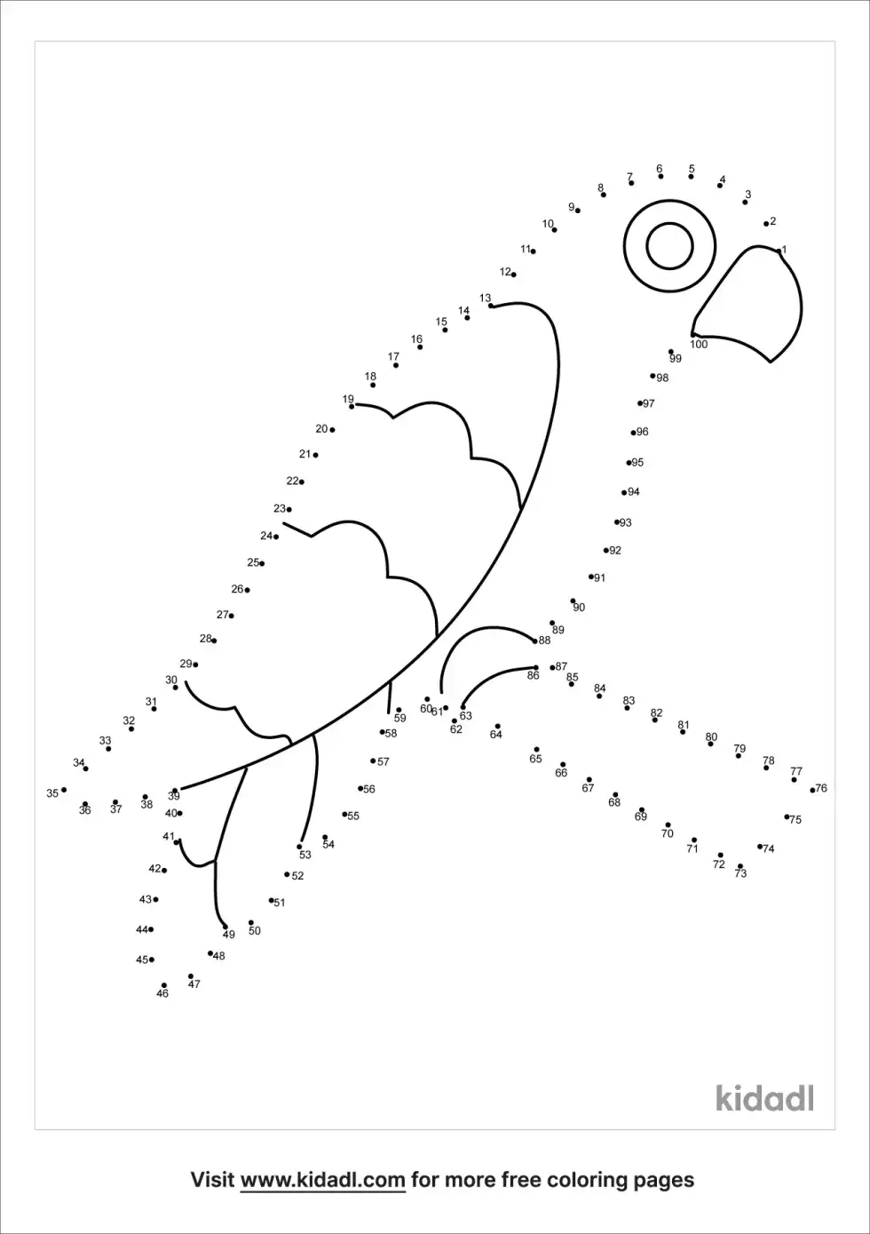 Parakeet Dot To Dot (Hard)