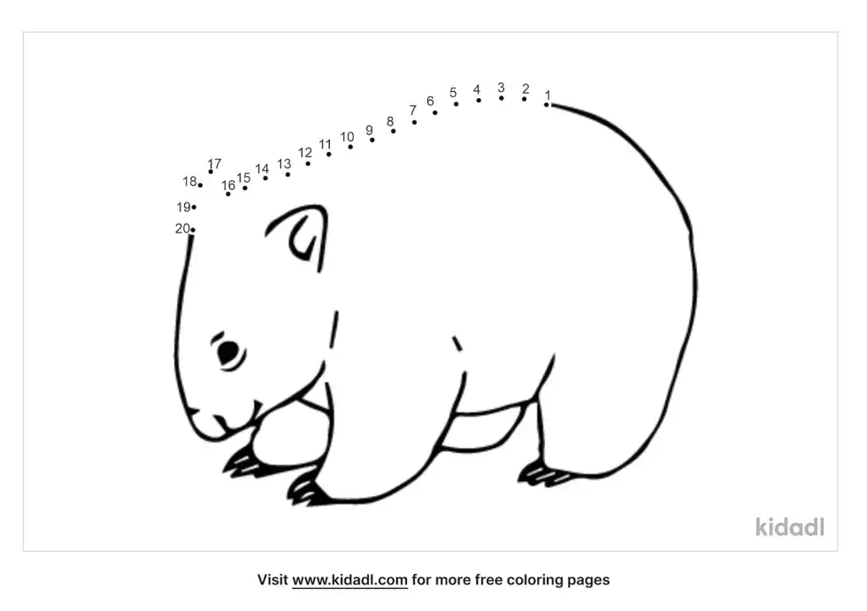 Wombat Dot To Dot (Easy)