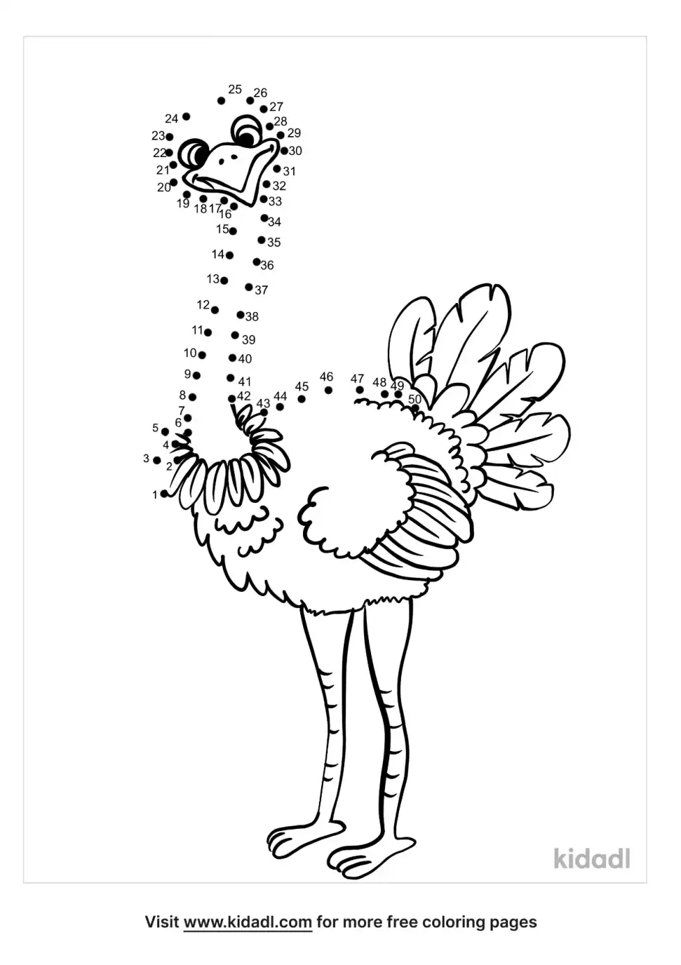 Ostrich Dot To Dot (Medium)