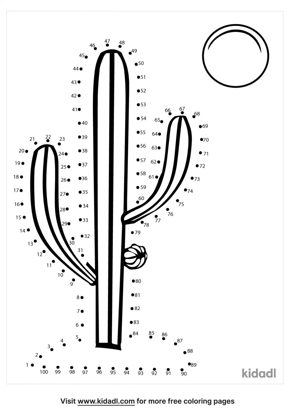 Cactus Dot To Dot (Hard)