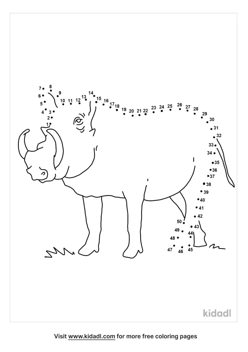 Warthog Dot To Dot (Medium)