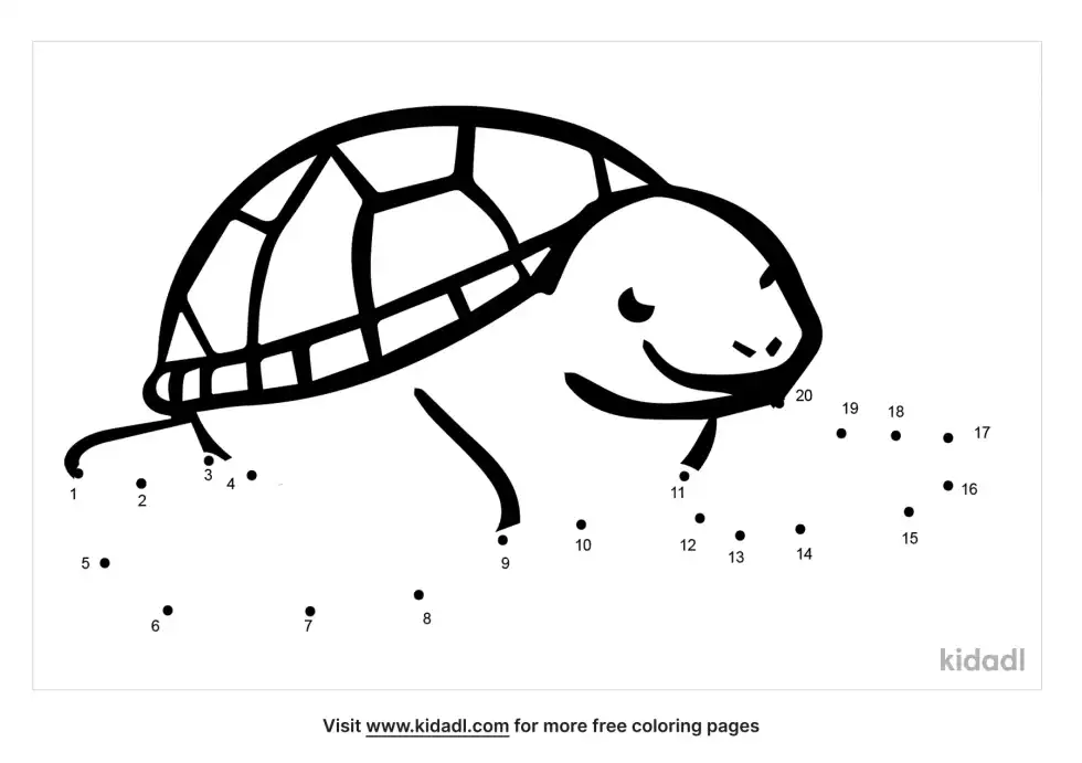 Turtle Dot To Dot (Easy)