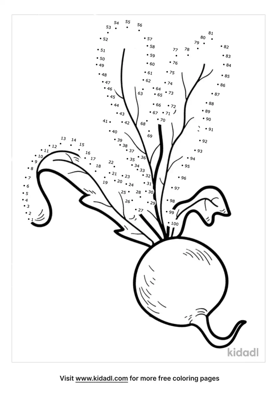 Radish Dot To Dot (Hard)