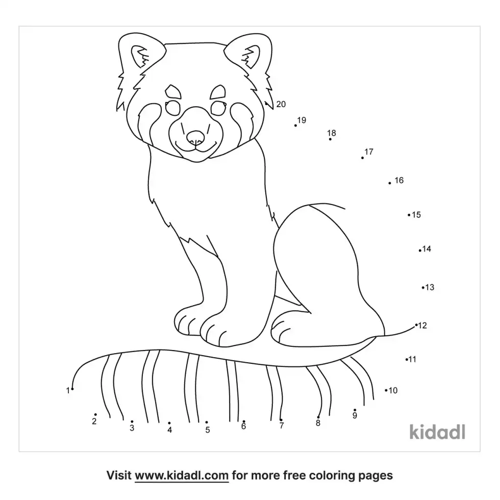 Red Panda Dot To Dot (Easy)