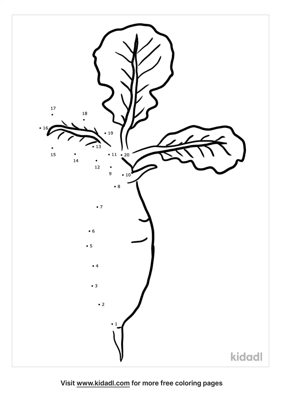 Radish Dot To Dot (Easy)