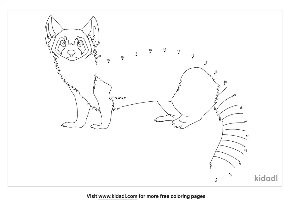 Civet Dot To Dot (Easy)