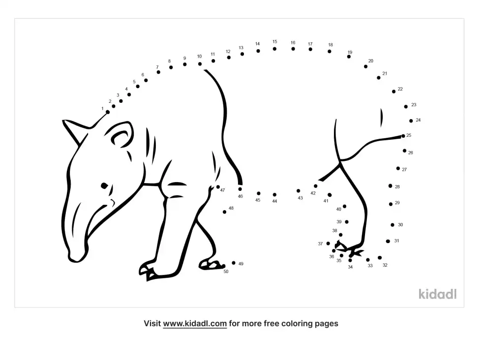 Tapir Dot To Dot (Medium)