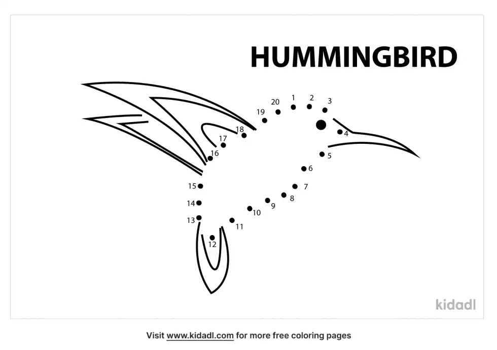 Hummingbird Dot To Dot (Easy)