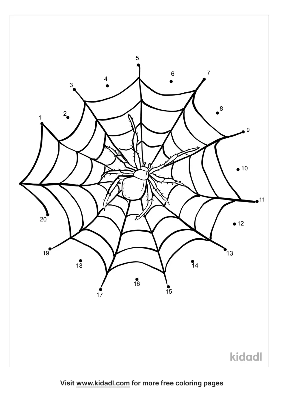 Spider Web Dot To Dot (Easy)